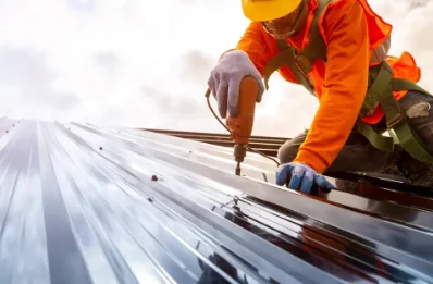 Travaux de zinguerie à Venon